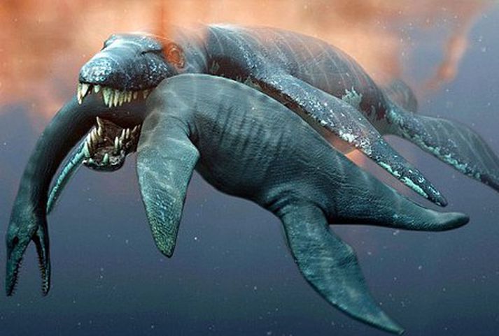 Pliosaurus fær sér í matinn.