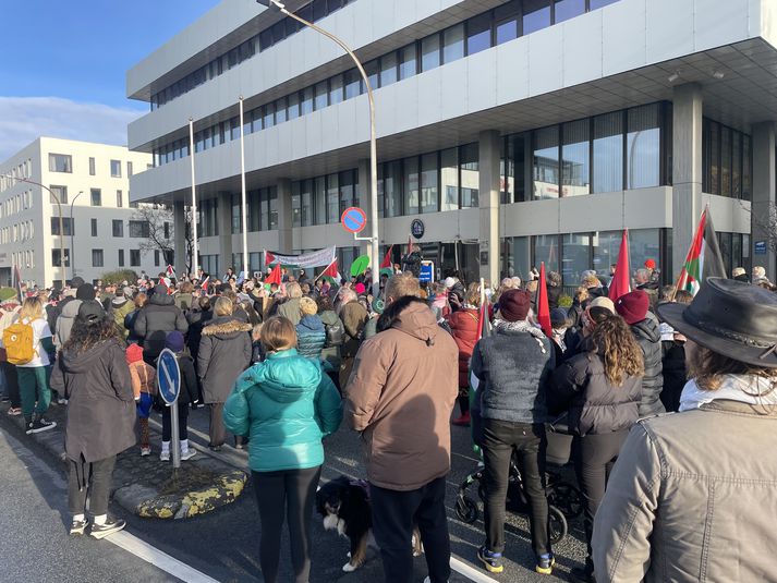 Nokkur fjöldi tók þátt í göngunni en á Austurvelli hófst samstöðufundur klukkan 15.15.