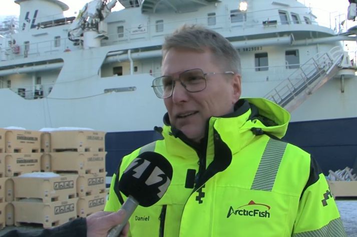 Daníel Jakobsson, framkvæmdastjóri hjá Arctic Fish, í viðtali á bryggjunni á Ísafirði í dag.