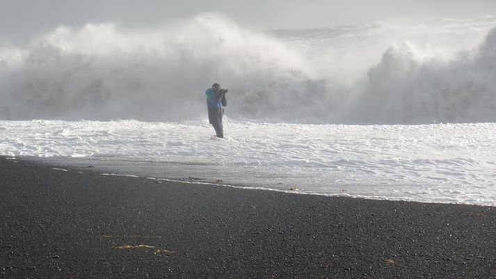 Þýski leiðsögumaðurinn Ulrich Pittroff var með hóp ferðamanna í fjörunni á þriðjudaginn þegar ferðamaðurinn óð út í eins og sjá má á myndinni.