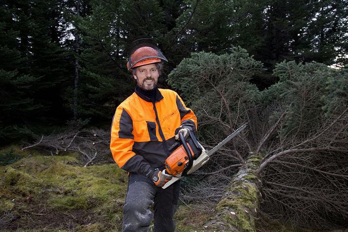 Það kom í hlut Dags B. Eggertssonar, borgarstjóra, að fella tréð.