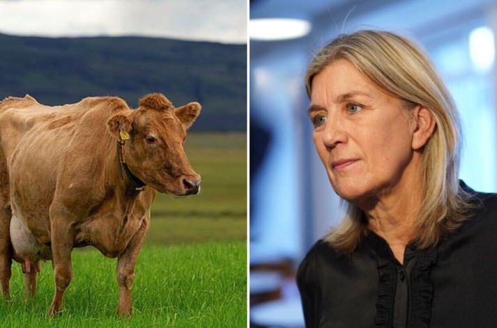 Hanna Katrín Friðriksson er atvinnuvegaráðherra. Ný stofnun mun meðal annars hafa eftirlit með dýravelferð.
