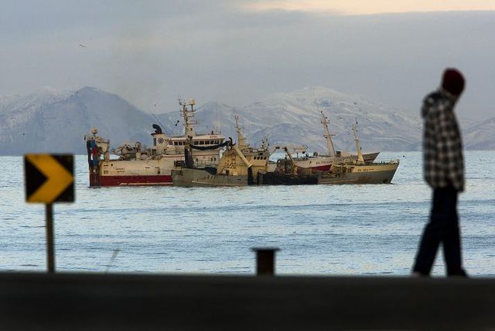 Skipin voru við veiðar upp í harðalandi í fyrra og útsýnið á kvöldgöngunni óviðjafnanlegt.
fréttablaðið/vilhelm