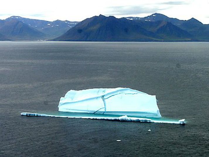 Borgaríssjaki við Íslandsstrendur árið 2004. Jakinn sem var að losna frá Grænlandsjökli er miklu stærri en þessi litli ísjaki.