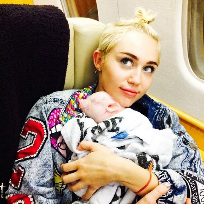 Miley er hæstánægð með nýjasta fjölskyldumeðliminn.