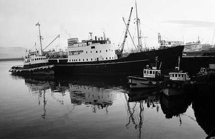Magni liggur við Esjuna árið 1965.