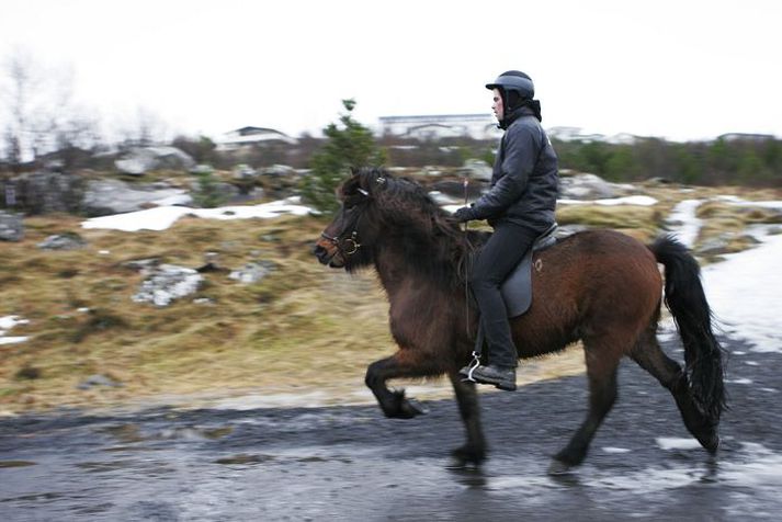 Hestamaður Hestamenn vilja ekki vélknúin ökutæki á reiðvegum.