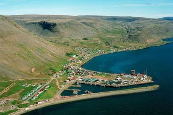 Kvígindisdalur er skammt frá Patreksfjarðarflugvelli. Á mynd er Patreksfjarðarbær, sem er reyndar hinu megin við fjörðinn.