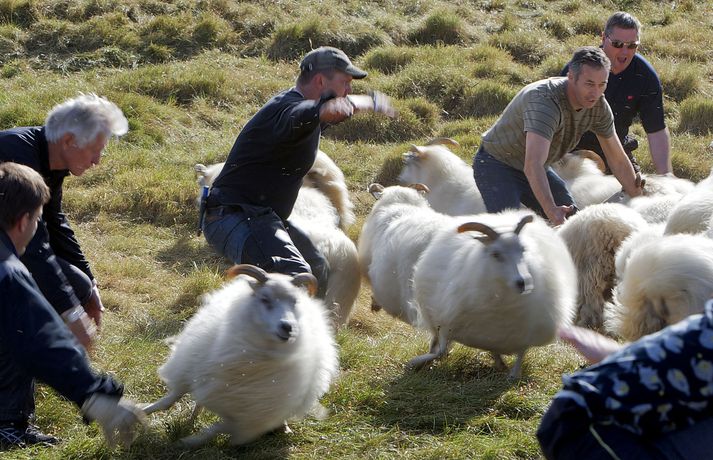 Illa gengur að afsetja fé frá því í fyrra. 