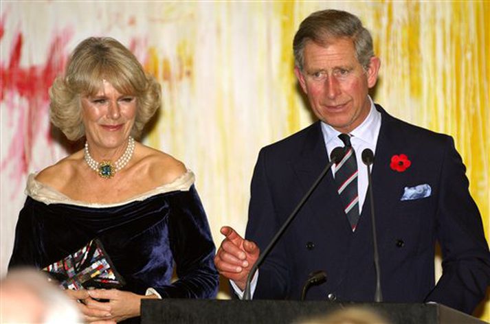 Karl og Camilla ræða við fjölmiðla í Nýlistasafninu í New York í gær.