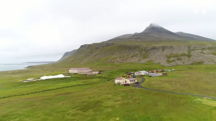 Bærinn Borgir í Kollavík stendur undir Viðarfjalli.