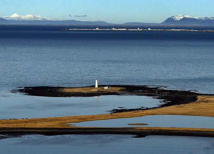 Vegna sparnaðar hjá borginni þurfa Reykvíkingar sjálfir að koma jólatrjám sínum í förgun að þessu sinni.
Fréttablaðið/Anton
