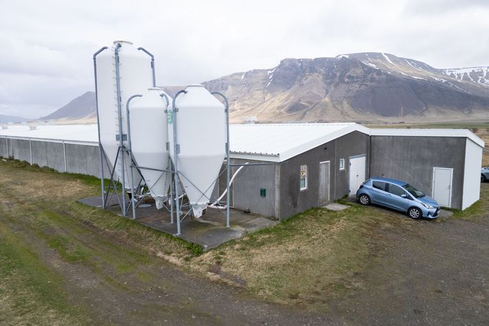 Karlmaður á þrítugsaldri hefur játað að hafa brotist inn í bú Stjörnugríss á Kjalarnesi og fleiri bú.
