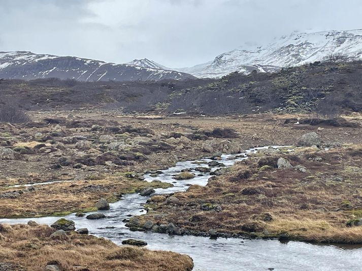Jarðskjálftasvæði ofan Mýra.
