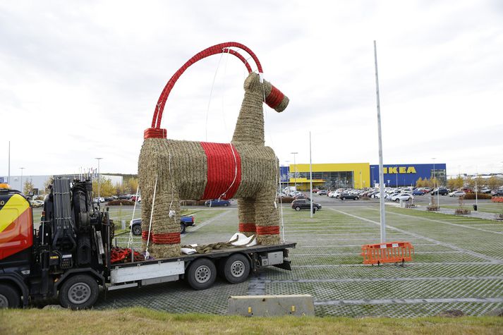 Það er vonandi að þessi átta metra háa geit fái að lifa veturinn.