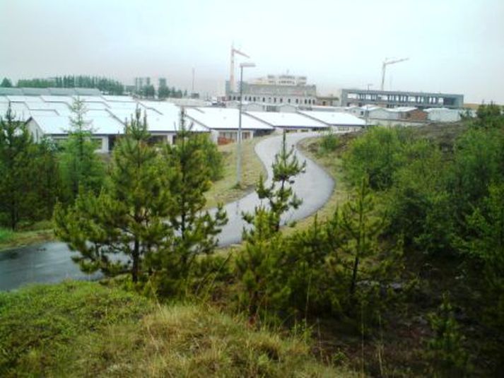 Göngustígurinn þar sem maðurinn fannst látinn.