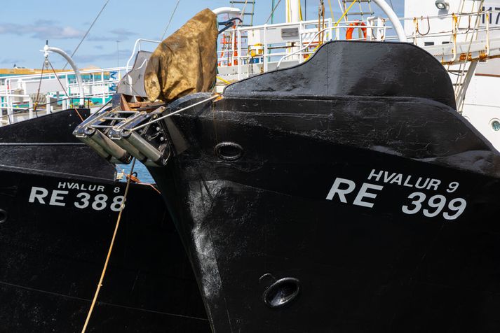 Bátar Hvals við bryggju í Reykjavík.