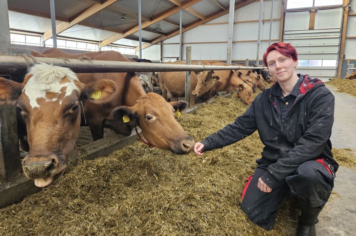 Belinda Margrét Birkisdóttir, kúahirðir á Móheiðarhvoli í Rangárþingi eystra, sem á heiðurinn af öllum nöfnum á kúnum í fjósinu, sem eru um 150 talsins.