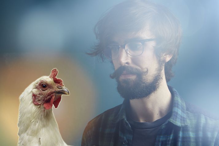 Gagnrýnendur halda því fram að svokallaðir "hipster-bændur" taki of stórt upp í sig þegar þeir vilja halda hænur í görðum sínum.