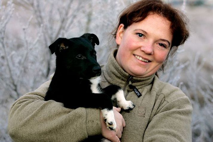 Þessi litli hundur var heppinn að Jóna Magnúsdóttir skyldi skjóta yfir hann skjólshúsi eftir að hafa fundið hann á vergangi. Frostið á þeim slóðum fór niður í allt að tíu stig í fyrrinótt og þarf ekki að spyrja að örlögum hans hefði hann hírst við vegrörið þar sem hann fannst.