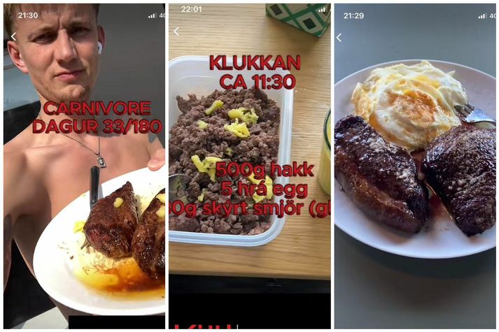 Bergþór og nokkrar dæmigerðar máltíðir í mataræðinu hans undanfarna tvo mánuði.