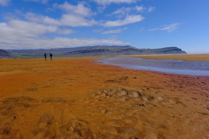 Fjöldi leggur leið sína á Rauðasand í dag til að horfa á myrkvann. 