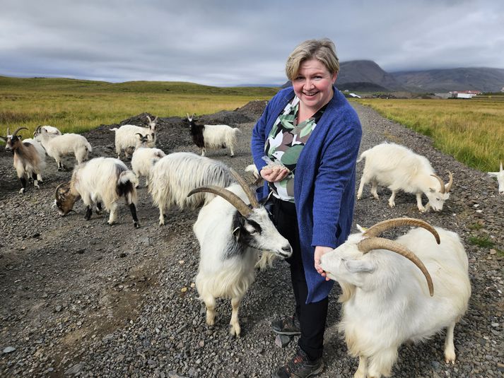 Lovísa Rós segir að geiturnar séu bestu vinir sínir.