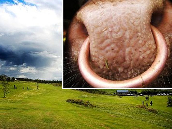 „Seinni golfmótin verða auglýst á laugardaginn kemur því dagsetningar eru ekki endanlega ákveðnar," sagði Jón Bergur sem á og rekur níu holu völl rétt hjá Akureyri.