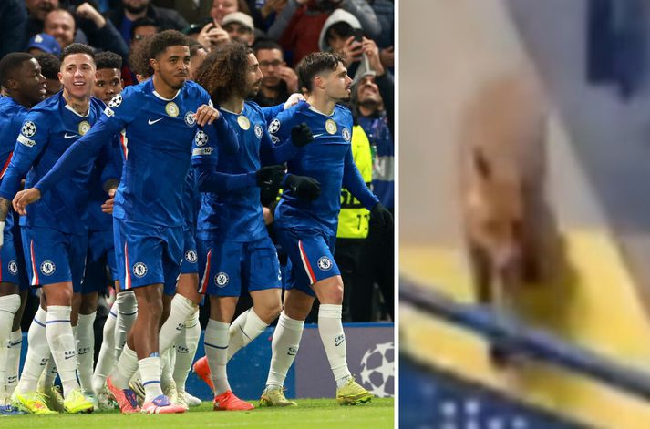Chelsea-menn skutu Börsungum ref fyrir rass á Brúnni.
