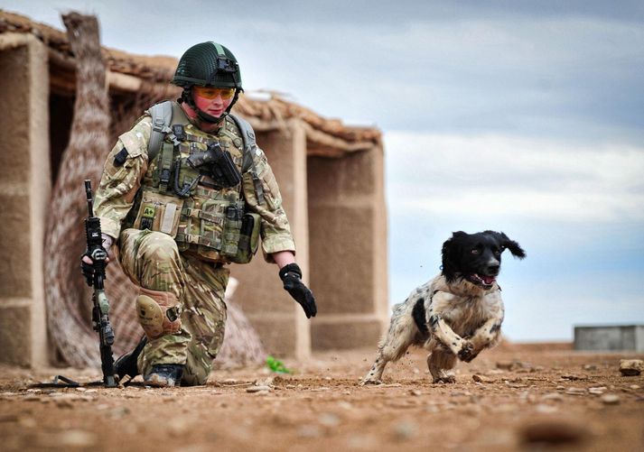Liam Tasker og Theo við skyldustörf í Afganistan.