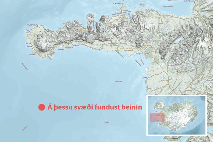 Samkvæmt Landhelgisgæslunni fundust beinin yfir hundrað metra dýpi um fimmtán til tuttugu sjómílum suður af Malarrifi.