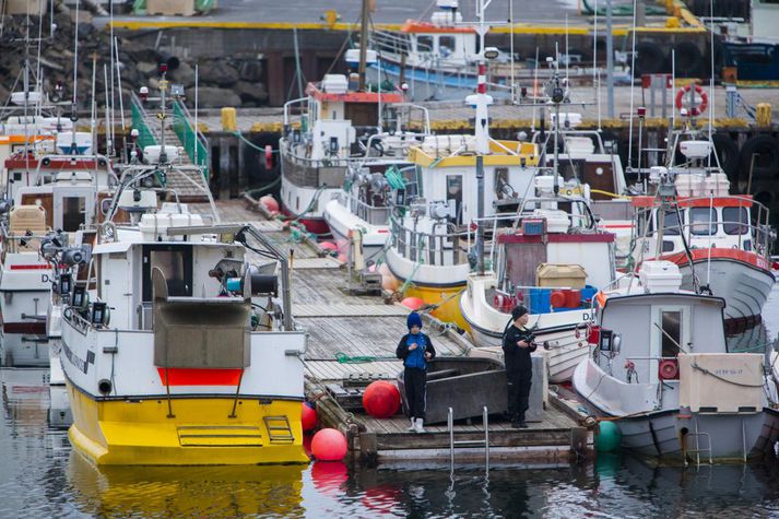 Styrkurinn er einnig mikilvægt skref í þá átt að hefja vistvænar veiðar á sæbjúgum víðsvegar um Evrópu, segir í tilkynningunni frá Aurora Seafood.