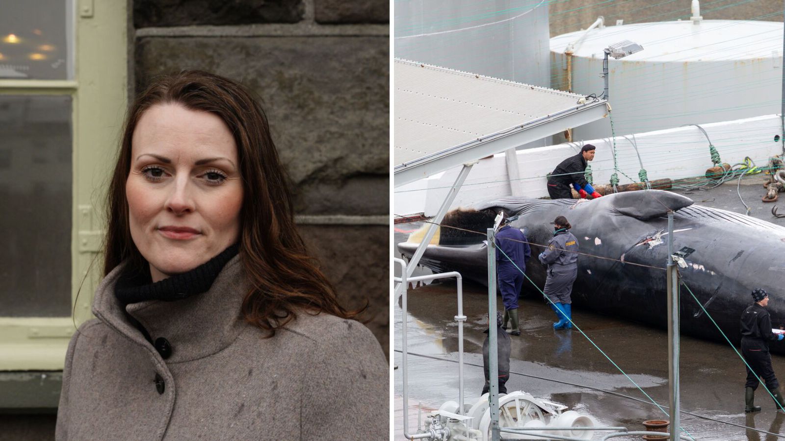„Dýra­vernd er ekki öfgaskoðun“