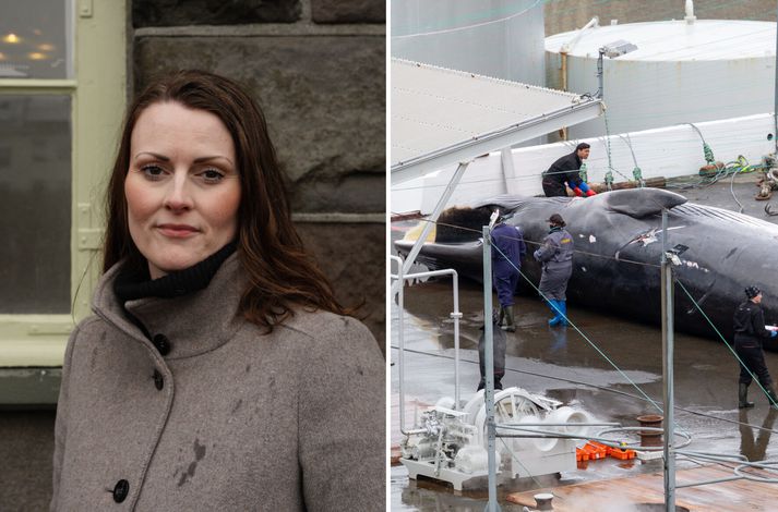 Linda Karen er formaður Dýraverndarsambands Íslands en á myndinni til hægri má sjá starfsmenn Hvals hf. verka aðra þeirra langreyða sem komu á land í nótt.