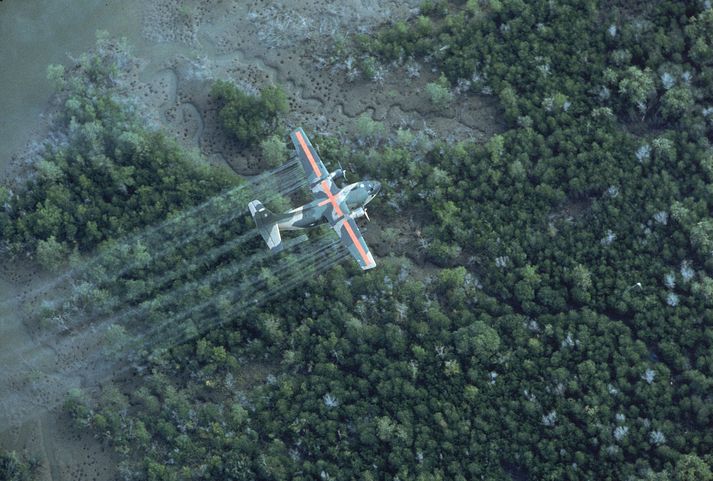 Á þessari mynd frá 1970 sést bandarísk flugvél úða Agent Orange á regnskóga Víetnam.