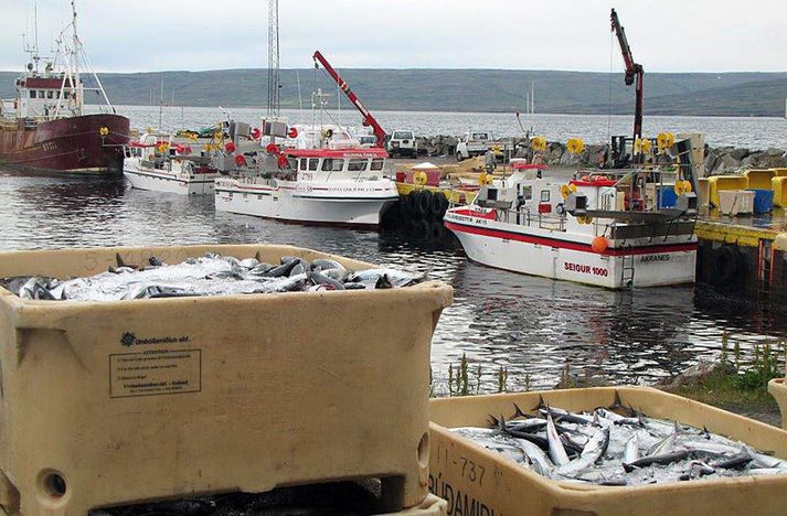 Fiskistofustjóri vill að stofnunin fái heimildir til að leggja stjórnvaldssektir á þá sem staðnir eru að því að landa afla fram hjá vigt. Myndin tengist fréttinni ekki beint.