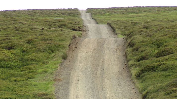 Dettifossvegur er mjór, niðurgrafinn moldarslóði á yfir 20 kílómetra kafla á leiðinni milli Ásbyrgis, Hljóðakletta og Dettifoss.