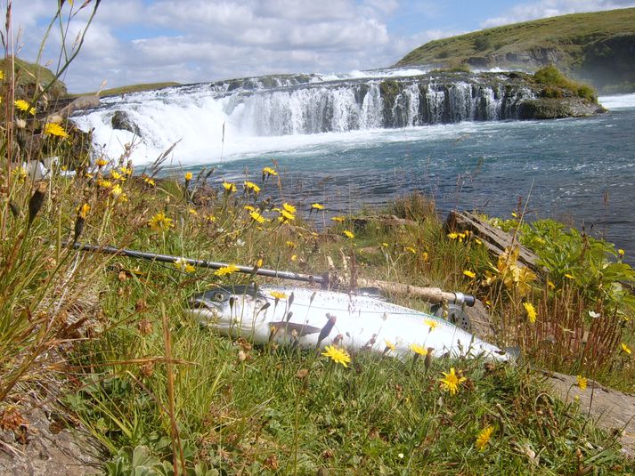 Ytri Rangá opnaði í morgun. Veðrið er nú ekki eins gott og á þessari mynd sem er úr safni.