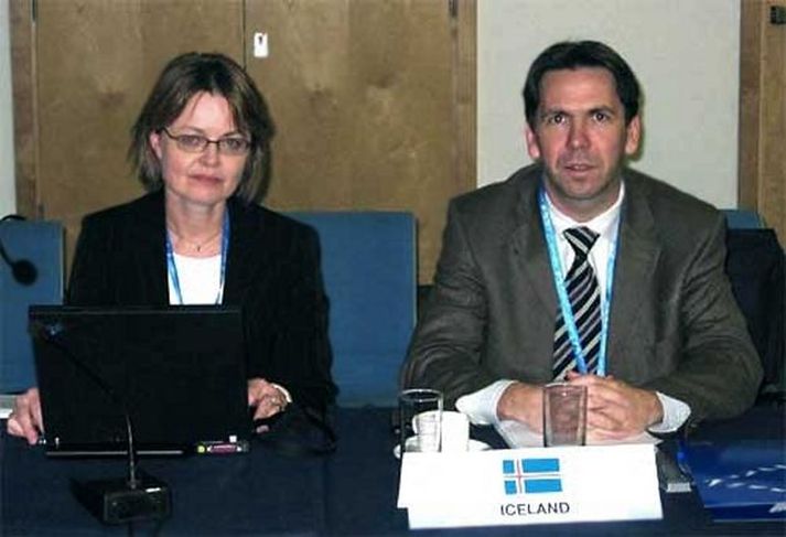 Fulltrúar Íslands Halla Björg Baldursdóttir og Ármann Kr. Ólafsson.
