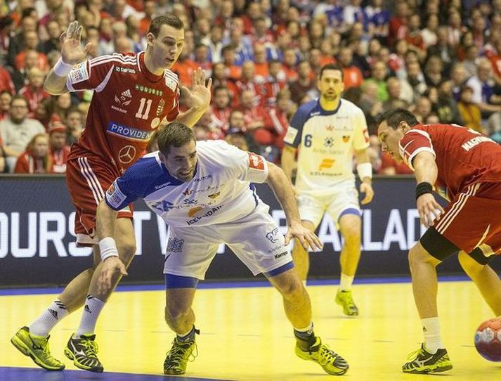 Bjarki Már Gunnarsson er leikmaður Aue í þýska handboltanum.