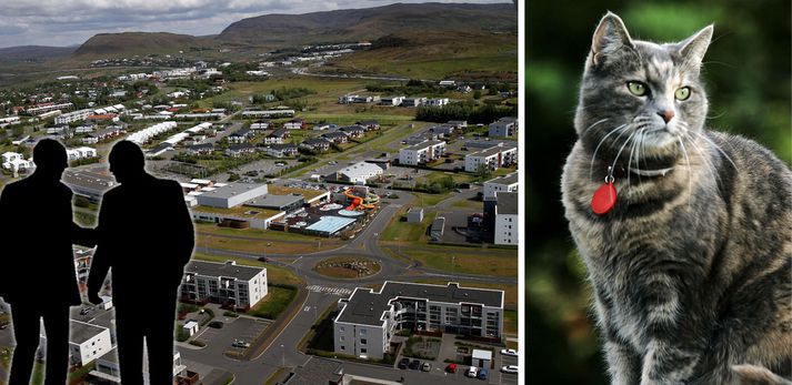 Svo virðist sem feðgar séu á ferð í Mosfellsbæ og stundi það að stela saklausum og gæfum heimilisköttum.