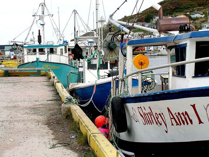 Í Petty Harbour i Nýfundnalandi þar sem sjávarútvegur er rótgróinn.