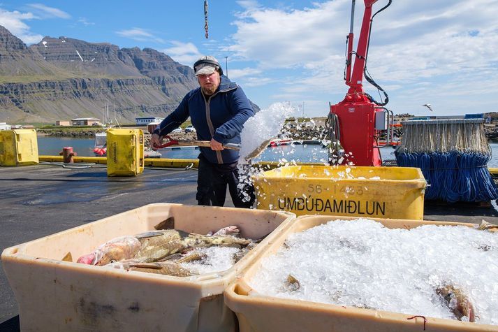  Mest er óánægjan með endalok strandveiðar fyrir austan, þar sem vertíðin hefst seinna en fyrir vestan.