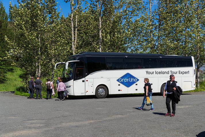 Gray line mun til að byrja með skaffa þrjá bíla til verksins.