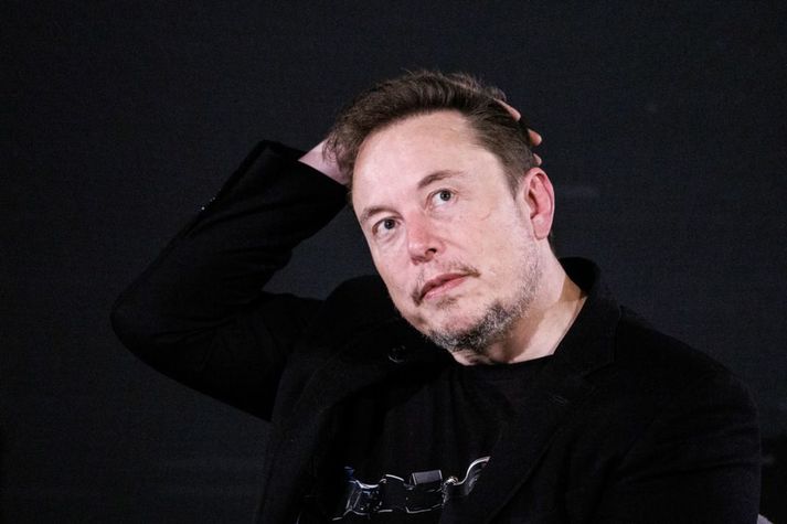 Elon Musk krefst þess að hann verði tímabundið gerður að eina forsjáraðila barnanna.