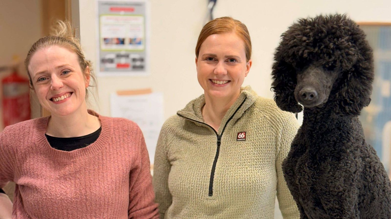 Vara dýraeigendur við: Gruna að eitrað hafi verið fyrir tveimur dýrum