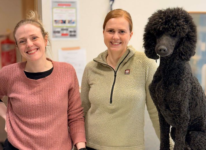 Helga Hjartardóttir og Helga Lísa Helgadóttir eru dýralæknar og eigendur Animalíu.