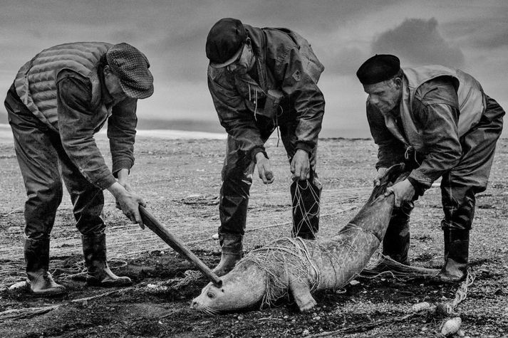 Meðfylgjandi mynd er ein af þeim fyrstu sem Ragnar Axelsson tók. Hann var barn á þeim tímapunkti.