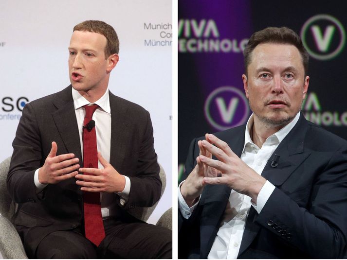 Mark Zuckerberg og Elon Musk gætu mæst í UFC-hringnum.