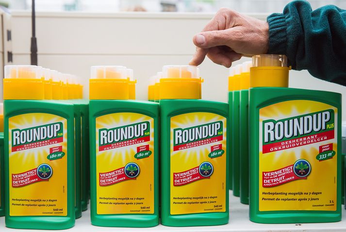 Monsanto framleiddi Roundup en þýska stórfyrirtækið Bayer keypti fyrirtækið fyrir 63 milljarða dollara í fyrra.